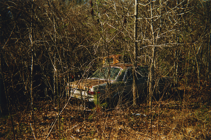 Peter Riedlinger, Two Broken Cars, 2006/2015