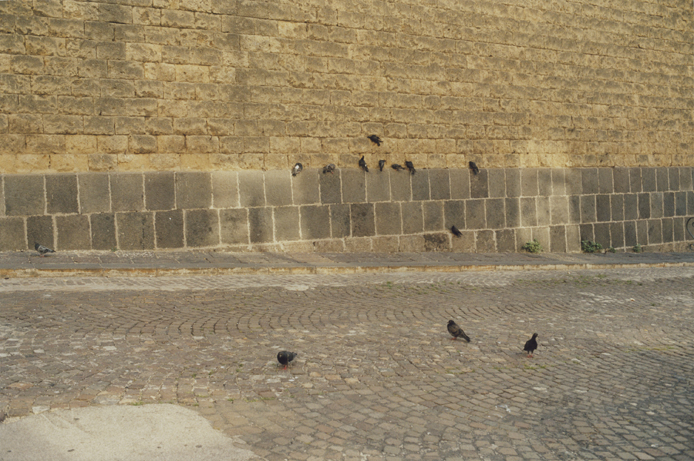Peter Riedlinger, 13 Tauben, Napoli 2004/2017