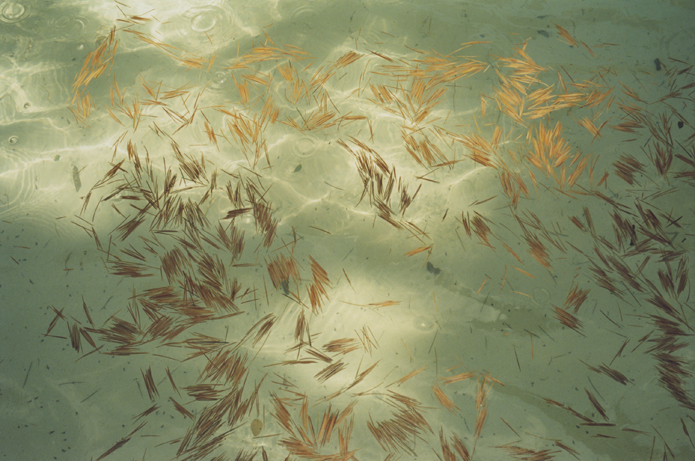 Peter Riedlinger; Adige; Veneto 2010; c-print analog, aus der Se